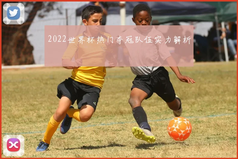 2022世界杯热门夺冠队伍实力解析