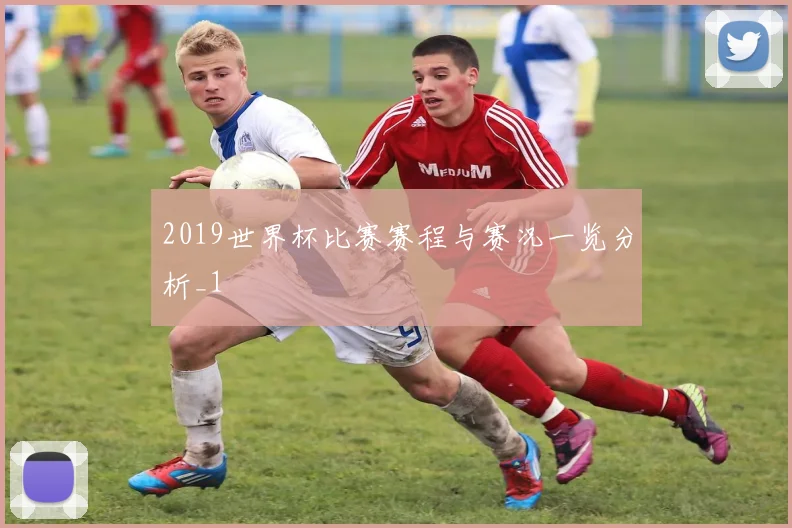 2019世界杯比赛赛程与赛况一览分析_1