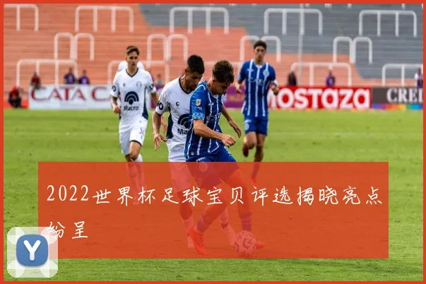 2022世界杯足球宝贝评选揭晓亮点纷呈